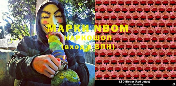 ПСИЛОЦИБИНОВЫЕ ГРИБЫ Балабаново