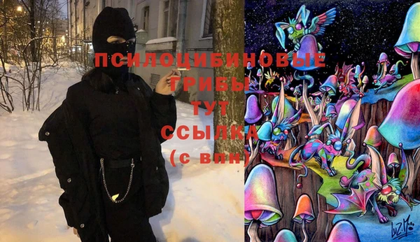 амф Баксан