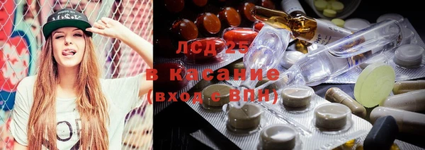 ПСИЛОЦИБИНОВЫЕ ГРИБЫ Балабаново